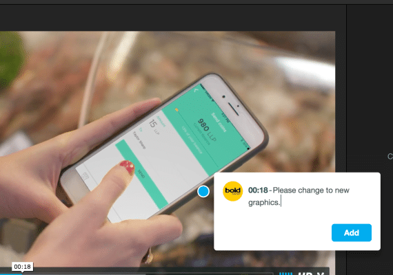Vimeo Review Timecode Example