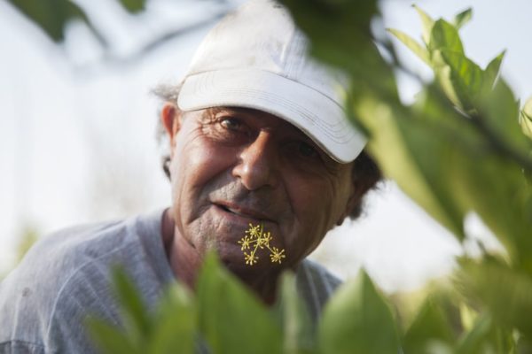 Karmenu's Story Gozo