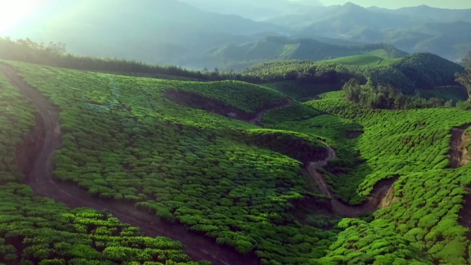 MQ Charity Brand Video