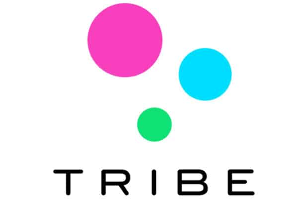 Tribe logo