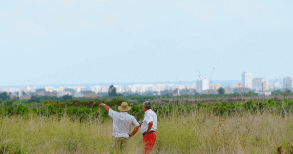 Case Study Film by Bold Content