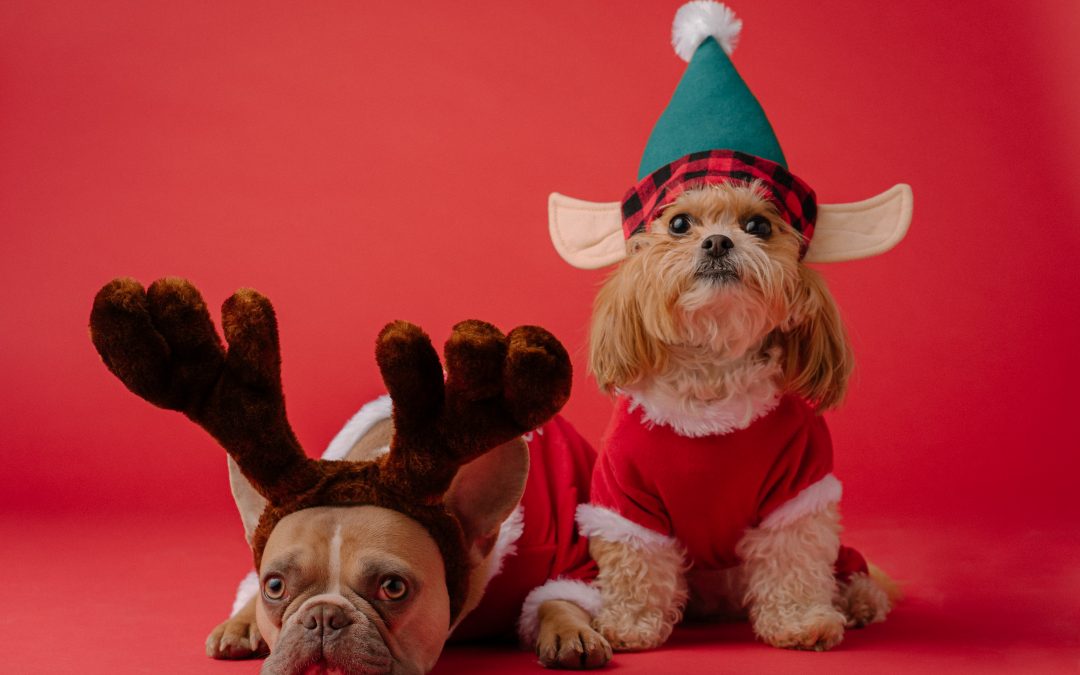 The Inevitable Christmas Ad