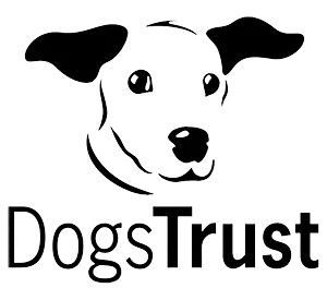 Dogs trust charity video production