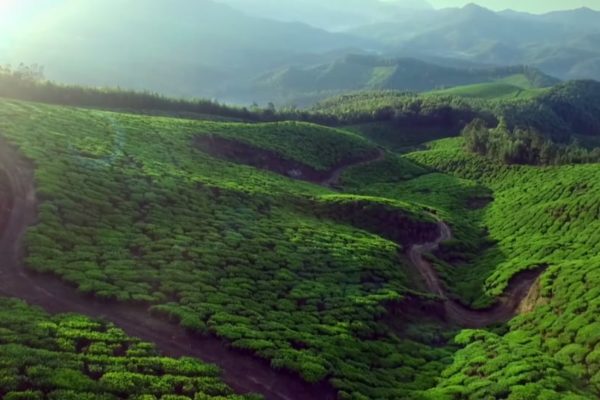 Green fields from the Tetley Tea Masters Video by Bold Content