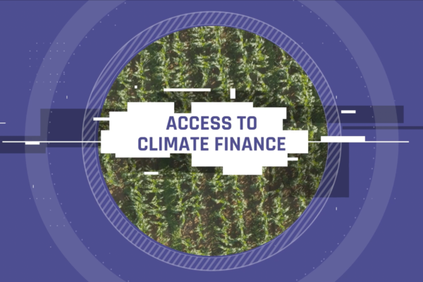 motion graphics for climate finance promo