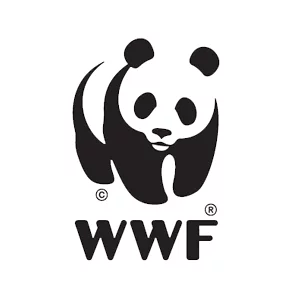 WWF charity video production with Bold content